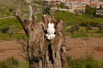 Epidavros, theater en workshops