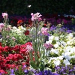 Je bent zo mooi anders